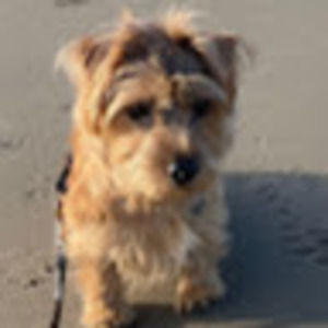 Meet your Posher, Ilyssa